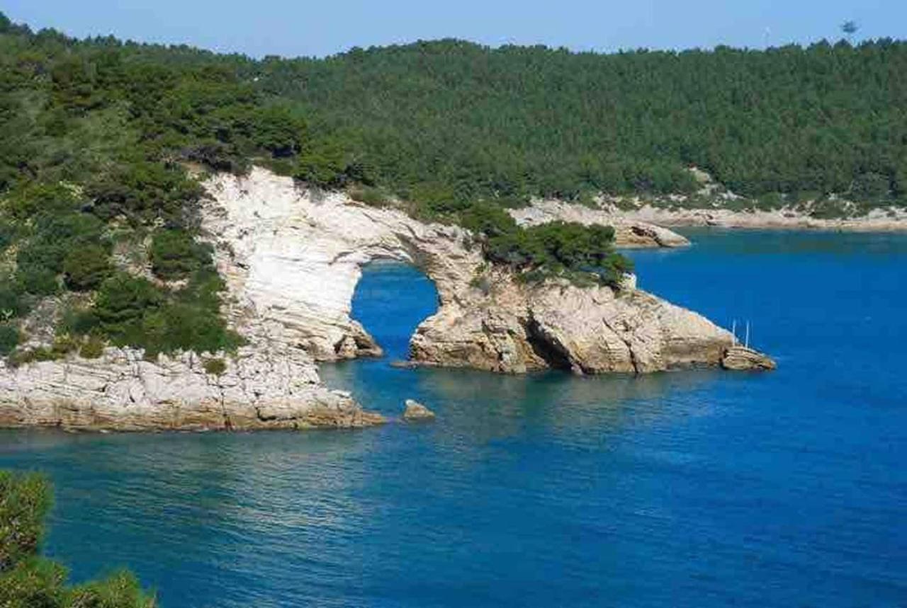 Romantic Apartment In Vieste 40 M² With Sea View Εξωτερικό φωτογραφία